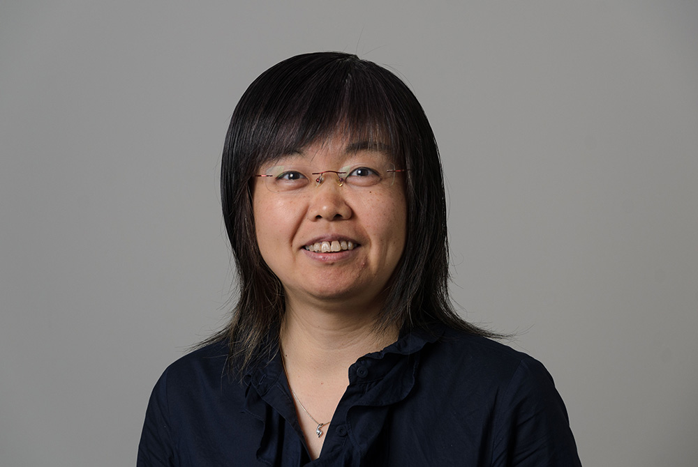 Baikun Li